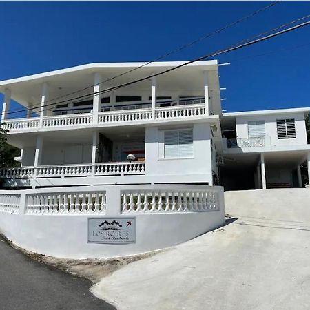 Los Roires Beach Apartments Fajardo Kültér fotó